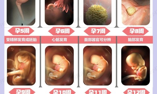 怀孕后大腿内侧变黑-孕妇后大腿根部黑黑的-怀孕时大腿内侧有黑色的小疙瘩怎么回事,中国孕妇大腿内侧黑线网站